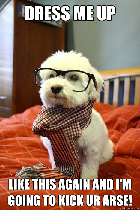 Dress me up like this again and I'm going to kick ur arse! - Dress me up like this again and I'm going to kick ur arse!  Hipster Dog
