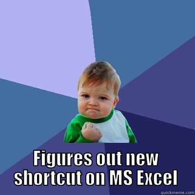  FIGURES OUT NEW SHORTCUT ON MS EXCEL Success Kid