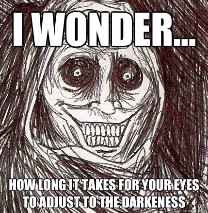 I Wonder... How long it takes for your eyes to adjust to the darkeness - I Wonder... How long it takes for your eyes to adjust to the darkeness  Horrifying Houseguest
