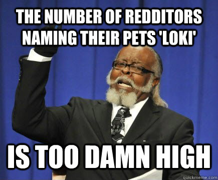 The number of redditors naming their pets 'Loki' is too damn high  Too Damn High