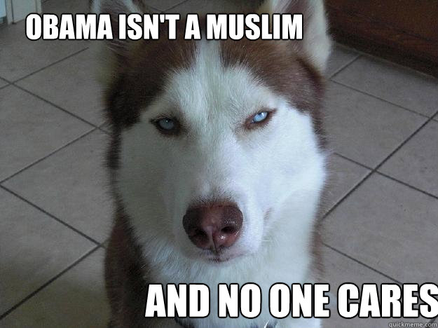 Obama isn't a muslim and no one cares - Obama isn't a muslim and no one cares  Anti Conspiracy Dog