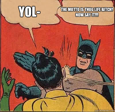 YOL- THE MOTTO IS THUG LIFE BITCH!
NOW SAY IT!!!  Batman Slapping Robin