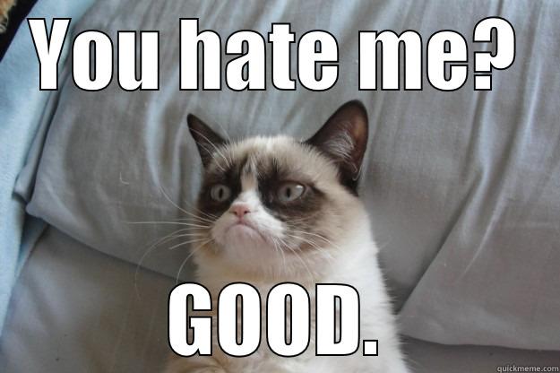 YOU HATE ME? GOOD. Grumpy Cat