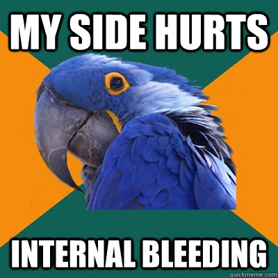 my side hurts Internal bleeding  Paranoid Parrot