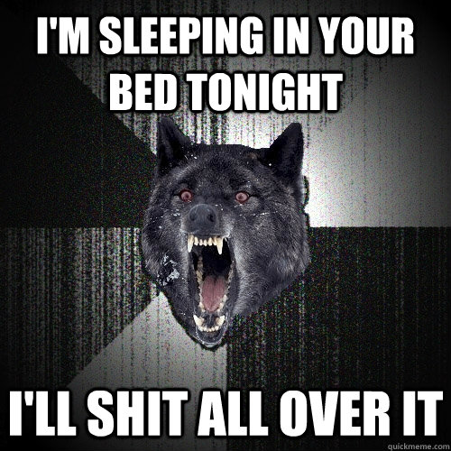I'm sleeping in your bed tonight  I'll shit all over it  Insanity Wolf