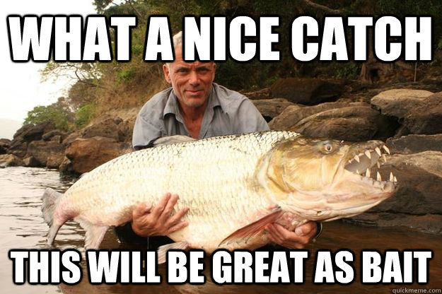 what a nice catch this will be great as bait - what a nice catch this will be great as bait  Jeremy Wade One-Ups You