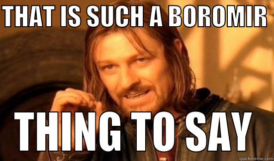 THAT IS SUCH A BOROMIR  THING TO SAY Boromir