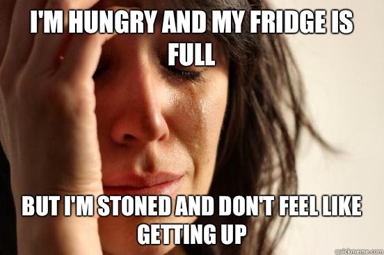 I'm hungry and my fridge is full But I'm stoned and don't feel like getting up  First World Problems