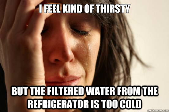 I FEEL KIND OF THIRSTY BUT THE FILTERED WATER FROM THE REFRIGERATOR IS TOO COLD  First World Problems