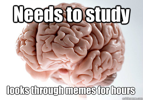 Needs to study looks through memes for hours   Scumbag Brain