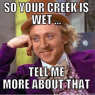 SO YOUR CREEK IS WET ... TELL ME MORE ABOUT THAT Condescending Wonka