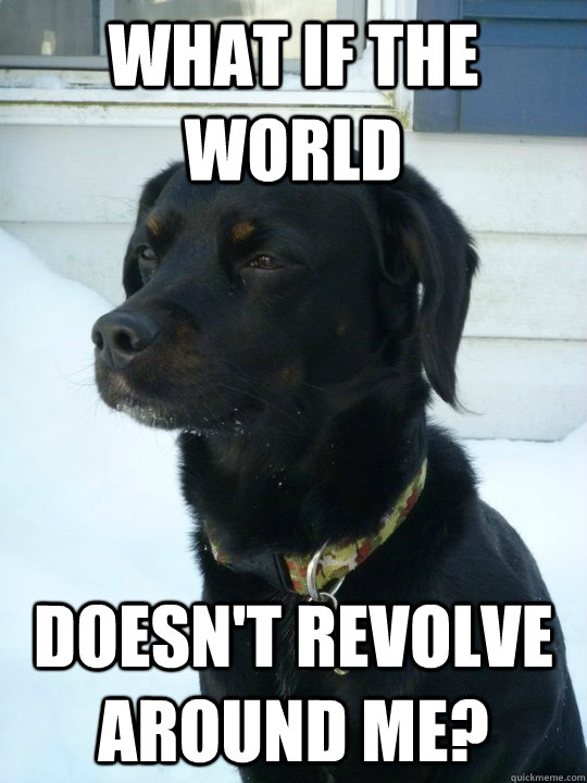 What if the world doesn't revolve around me? - What if the world doesn't revolve around me?  Philosophical Puppy