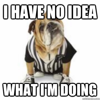 I Have No Idea What I'm Doing - I Have No Idea What I'm Doing  Misc