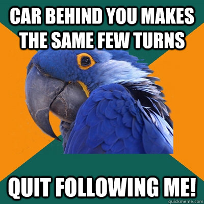 car behind you makes the same few turns quit following me!  Paranoid Parrot