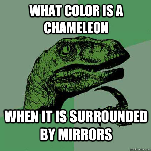 what color is a chameleon when it is surrounded by mirrors - what color is a chameleon when it is surrounded by mirrors  Philosoraptor