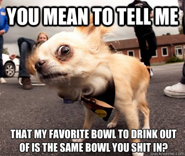 You mean to tell me That my favorite bowl to drink out of is the same bowl you shit in? - You mean to tell me That my favorite bowl to drink out of is the same bowl you shit in?  Skeptical Dog