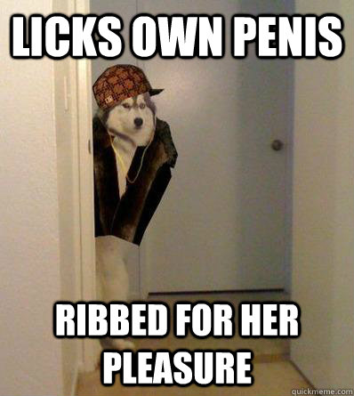 LICKS OWN PENIS RIBBED FOR HER PLEASURE  Scumbag dog