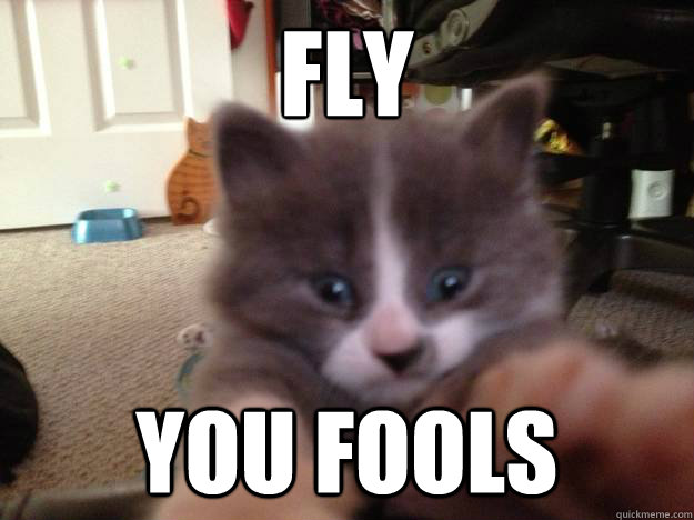 Fly You fools - Fly You fools  Gandalf Kitty