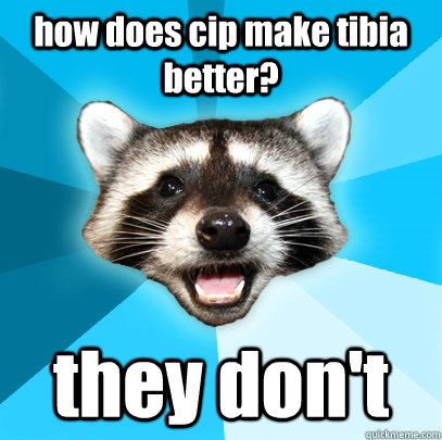 how does cip make tibia better? they don't  Lame Pun Coon