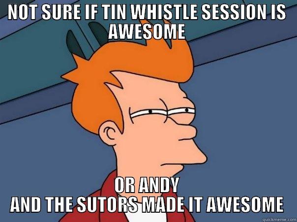 ESOTERIC MEME IS ESOTERIC - NOT SURE IF TIN WHISTLE SESSION IS AWESOME OR ANDY AND THE SUTORS MADE IT AWESOME Futurama Fry
