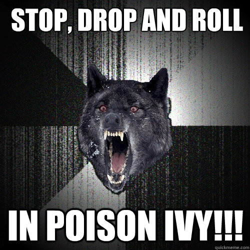 Stop, drop and roll in poison ivy!!!  Insanity Wolf