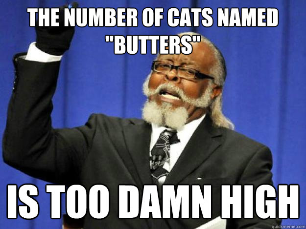 the number of cats named 