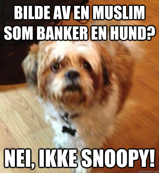 Bilde av en muslim som banker en hund? NEI, IKKE SNOOPY!  