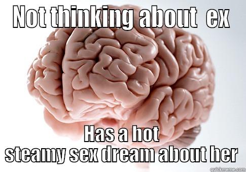 NOT THINKING ABOUT  EX HAS A HOT STEAMY SEX DREAM ABOUT HER Scumbag Brain