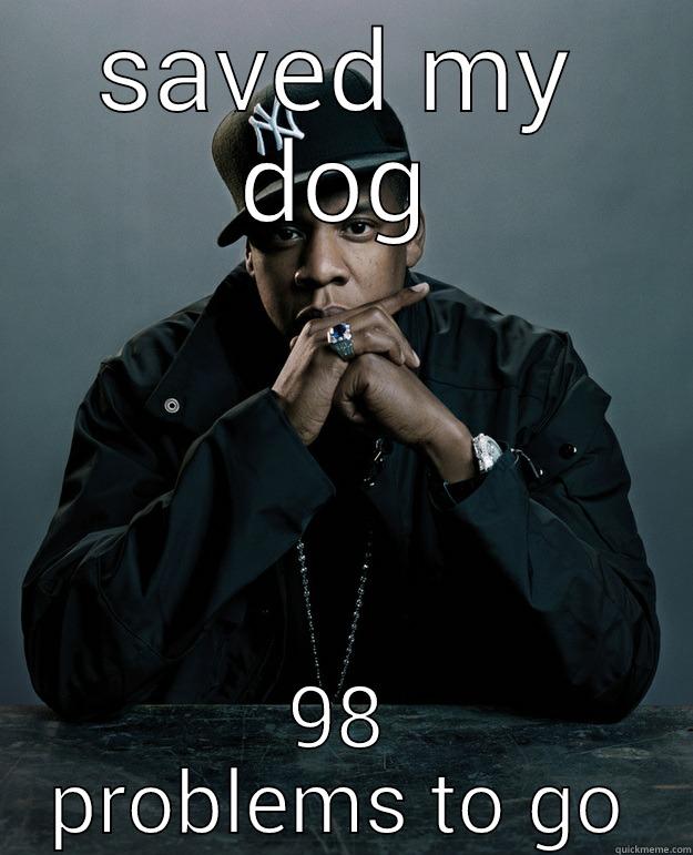 SAVED MY DOG 98 PROBLEMS TO GO Jay Z Problems