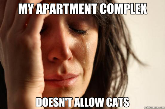 My apartment complex doesn't allow cats - My apartment complex doesn't allow cats  First World Problems