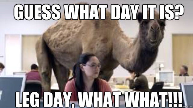 GUESS WHAT DAY IT IS? LEG DAY, WHAT WHAT!!!  