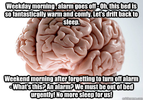 Weekday morning , alarm goes off - Oh, this bed is so fantastically warm and comfy. Let's drift back to sleep. Weekend morning after forgetting to turn off alarm - What's this? An alarm? We must be out of bed urgently! No more sleep for us! - Weekday morning , alarm goes off - Oh, this bed is so fantastically warm and comfy. Let's drift back to sleep. Weekend morning after forgetting to turn off alarm - What's this? An alarm? We must be out of bed urgently! No more sleep for us!  Scumbag Brain