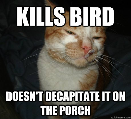 Kills bird doesn't decapitate it on the porch  Good Cat Greg