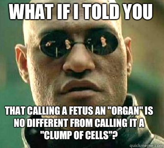 what if i told you That calling a fetus an 