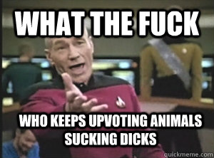 What the fuck Who keeps upvoting animals sucking dicks  Annoyed Picard