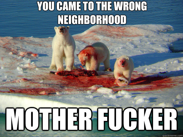 you Came to the wrong neighborhood mother fucker - Coke bears - quickmeme.