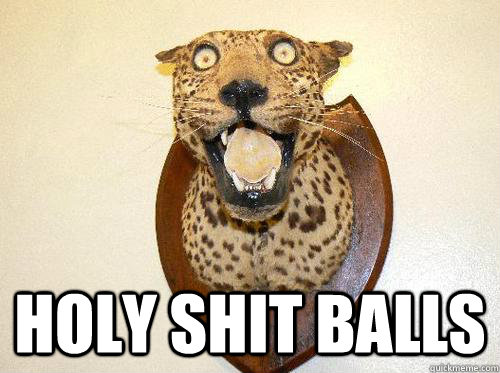 HOLY SHIT BALLS - HOLY SHIT BALLS  wowcat