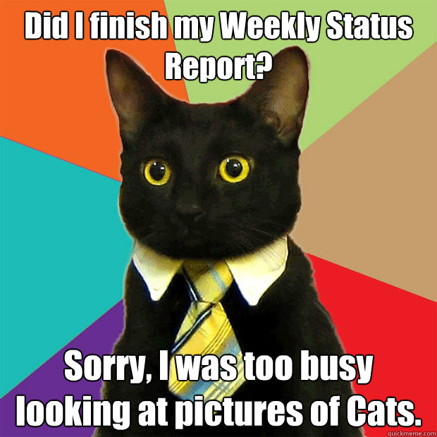Did I finish my Weekly Status Report? Sorry, I was too busy looking at pictures of Cats.  - Did I finish my Weekly Status Report? Sorry, I was too busy looking at pictures of Cats.   Business Cat
