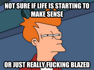 Not sure if life is starting to make sense or just really fucking blazed  Fry meme