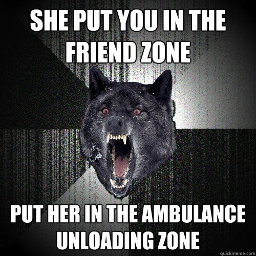 she put you in the friend zone put her in the ambulance unloading zone  Insanity Wolf