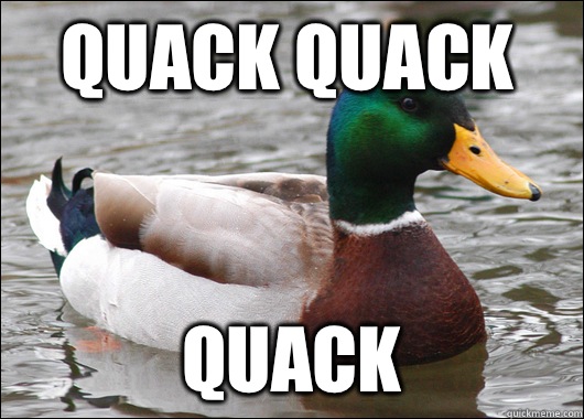 Quack Quack Quack  Actual Advice Mallard