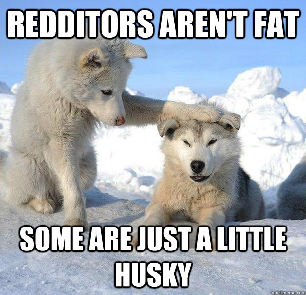 Redditors aren't fat some are just a little husky  Caring Husky