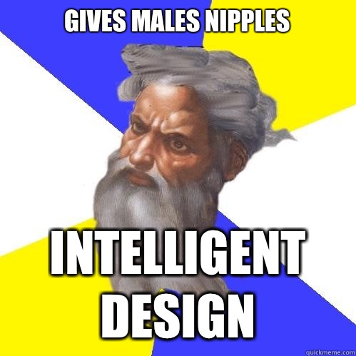 Gives males nipples Intelligent Design  Advice God