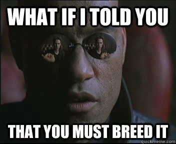 What if I told you That you must breed it  Morpheus SC