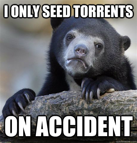 I only seed torrents on accident  Confession Bear