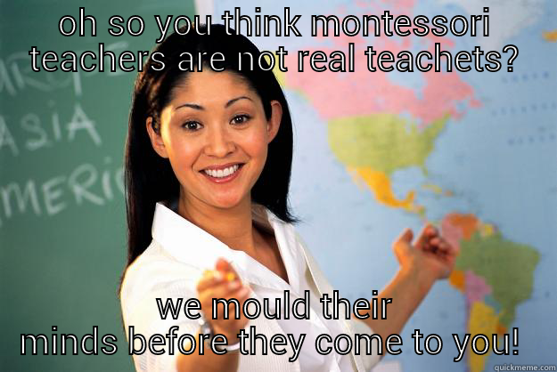 OH SO YOU THINK MONTESSORI TEACHERS ARE NOT REAL TEACHETS? WE MOULD THEIR MINDS BEFORE THEY COME TO YOU!  Unhelpful High School Teacher
