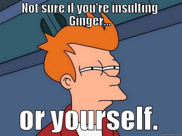 NOT SURE IF YOU'RE INSULTING GINGER... OR YOURSELF. Futurama Fry