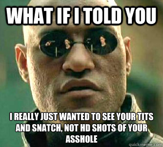 What if I told you I really just wanted to see your tits and snatch, not HD shots of your asshole  What if I told you