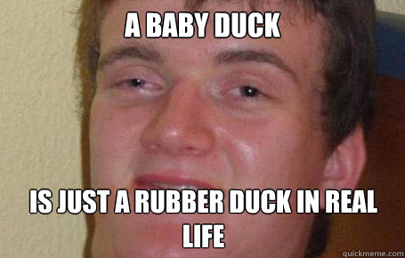 A BABY DUCK  IS JUST A RUBBER DUCK IN REAL LIFE  