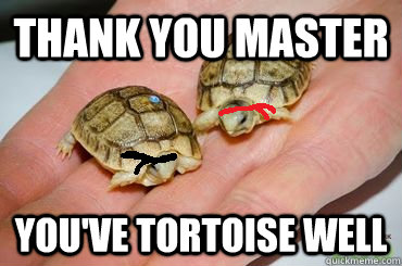 thank you master you've tortoise well - thank you master you've tortoise well  Ninja Tortoises